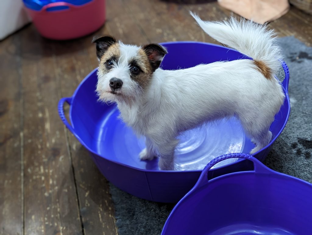 1-2-1 training activities