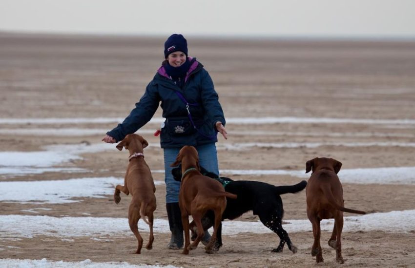 New Puppy? New Dog? Teenage Terror? Learning Workshop