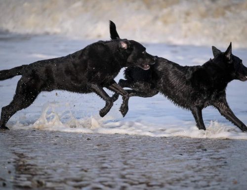 FB_IMG_1598302071504