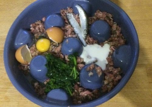 Raw Meal
